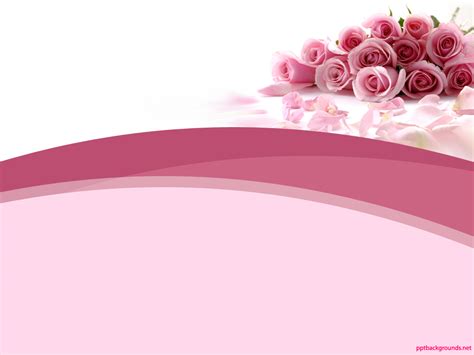 Pink Rose Abstract Beauty Background For Powerpoint Flower Ppt Templates