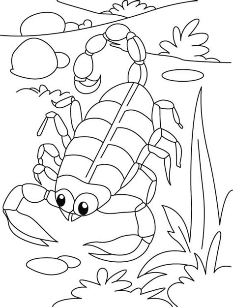 Funny Scorpion Coloring Page Free Printable Coloring Pages For Kids