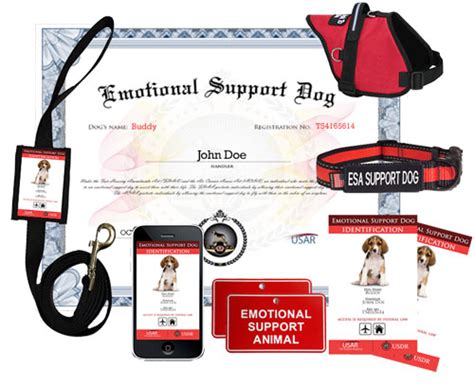 Emotional support animals are not considered service animals according to the americans with disabilities act. Register Your Emotional Support Dog Online | US Dog Registry