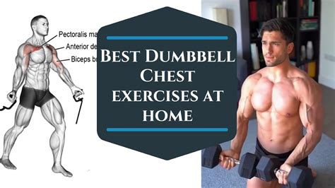 Best Dumbbell Chest Exercises At Home Chest Workout At Home Youtube
