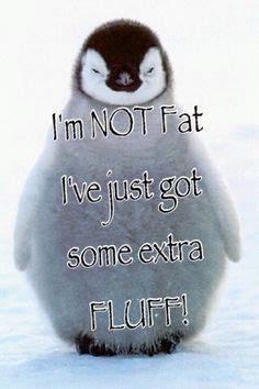 I like you very much. cutest penguin quotes - Google Search | Penguin quotes ...