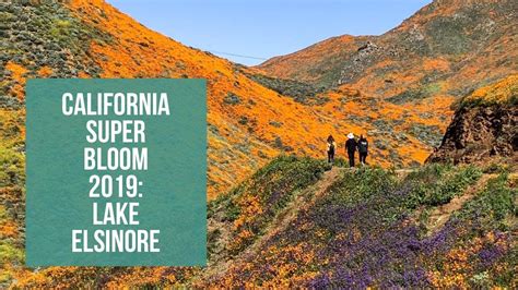 California Wildflower Super Bloom 2019 Lake Elsinore Poppies Youtube