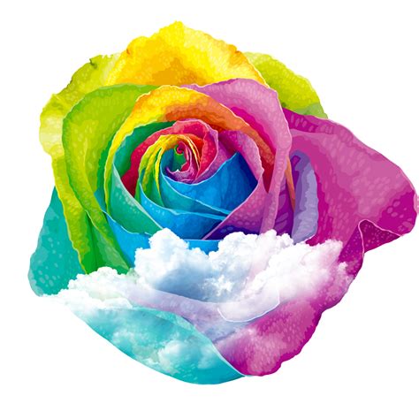 Rainbow Rose Clouds Sticker By Parietalimagination