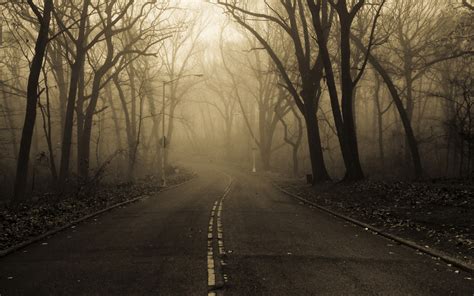 Creepy Forest Wallpaper 66 Images