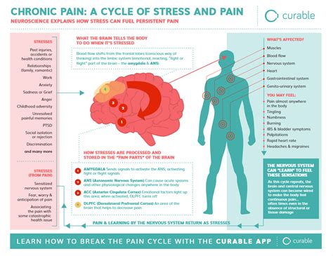 Chronic Pain A Cycle Of Stress And Pain