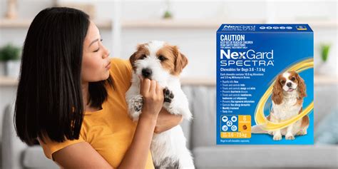 Nexgard Spectra For Small Dogs Dr Carl