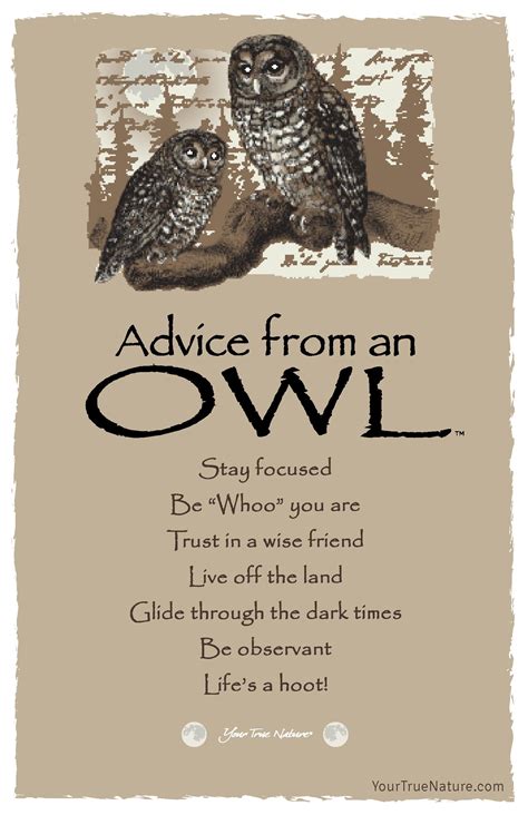 Advice From An Owl Postcard Your True Nature Owl Quotes Nature
