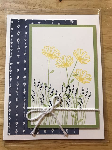 Daisy Delight Display Daisy Delight Stampin Up Paper Crafts My Xxx