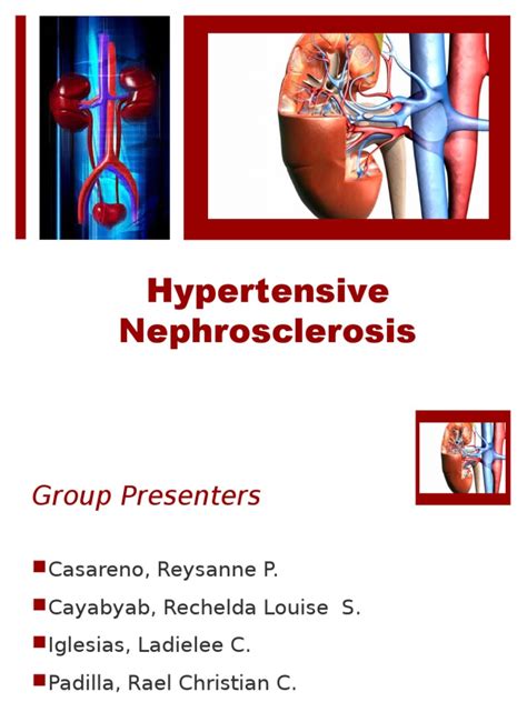 Hypertensive Nephrosclerosis Hypertension Chronic Kidney Disease