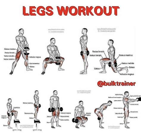 Leg Day Dumbbell Workout Plan Leg Workouts Gym Leg Workout