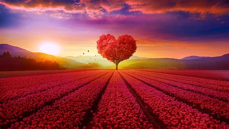 Support us by sharing the content, upvoting wallpapers on. Heart tree Landscape 4K Wallpapers | HD Wallpapers | ID #25145