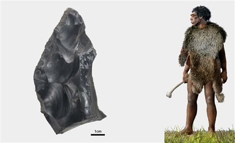 Homo Heidelbergensis As Skilled Hunter Archaeology Sci