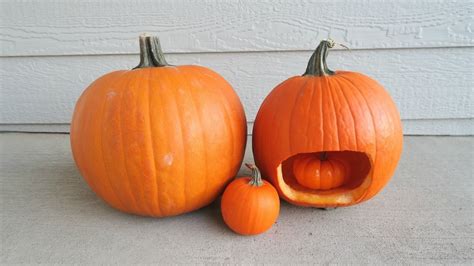 Pregnant Pumpkin Carving Youtube