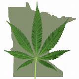 Images of Medical Marijuana Minnesota Jobs