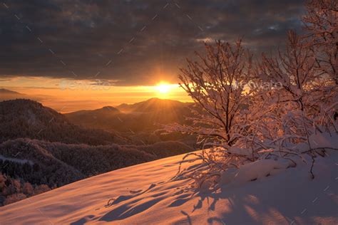 Dark Winter Sunrise With Snow Covered Landscape Stock Photo By Dreamypixel