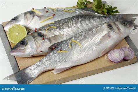 Fresh Fish Stock Photography Image 2279852