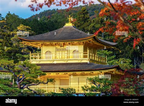 Kinkakuji Temple The Golden Pavilion With Autumn Maple In Kyoto Stock