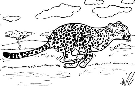 Cute Baby Cheetah Coloring Pages Coloring Home