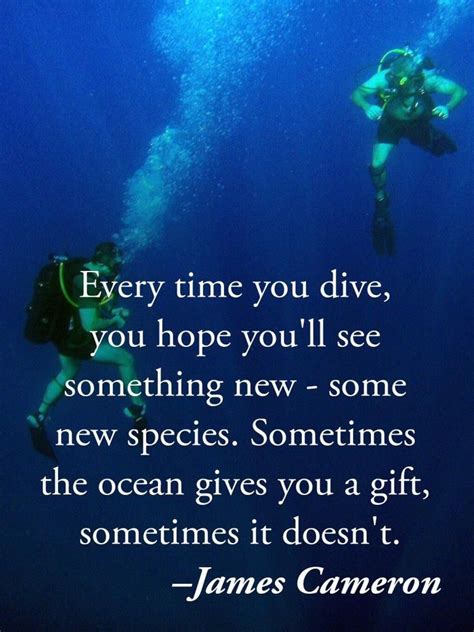 Every Time You Dive You Hope Youll See Something New Some New
