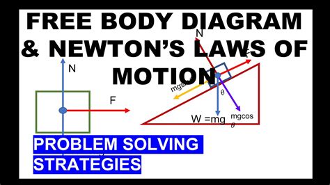 Free Body Diagram And Newtons Laws Youtube