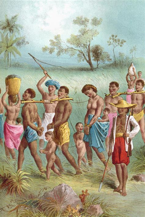 Slave Trading In The 19th Century From Drawing By Vintage Design Pics Fine Art America