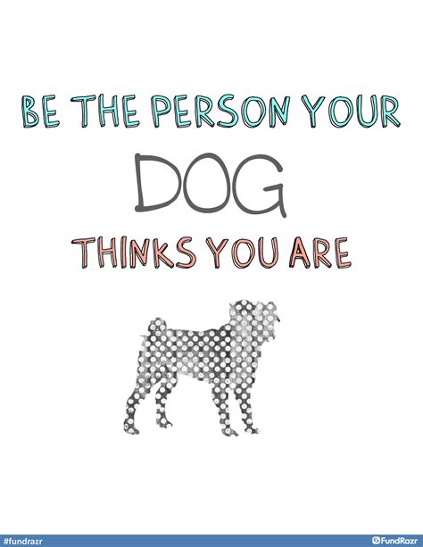 Be The Person Your Dog Thinks You Are Cute Cats And Dogs I Love