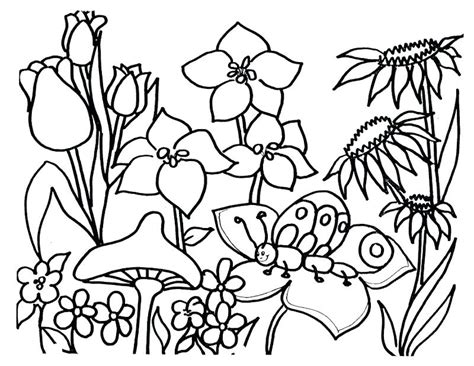 Https://wstravely.com/coloring Page/printable Wildflower Coloring Pages