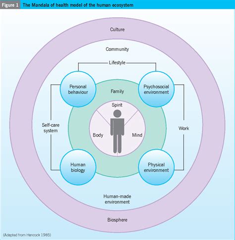 Figure 1 From The Mandala Of Health Model Of The Human Ecosystem