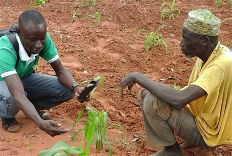 disseminating innovative resources  technologies  smallholders  ghana dirts  abdul