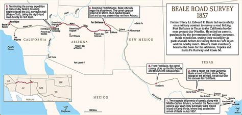 Arizona art | fine art america. The Great Camel Experiment - True West Magazine