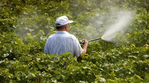 Epas New Pesticide Rules Will They Make A Difference Grist