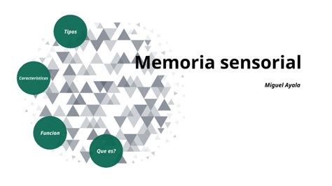 Memoria Sensorial By Gala Solis On Prezi
