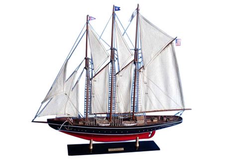 Schooner Atlantic Hand Built Model
