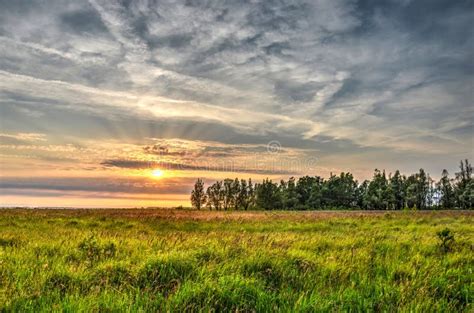 Sunset Under The Grassland Stock Photo Image Of Asia 12090184