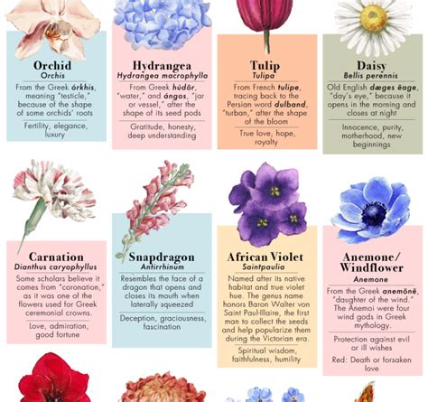 Flower names that work for baby girls range from the exotic amaryllis to zinnia to the everyday, such as daisy, clover. Beautiful Flower Names For Girls - Kisvackor Mindennapjai