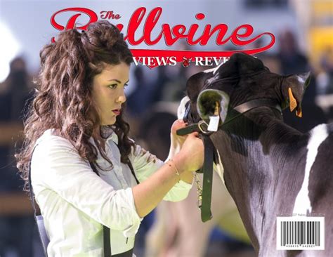Bullvine Cover 20160227