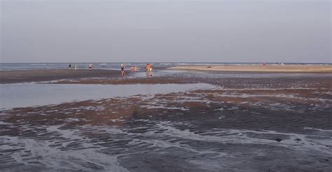 Low tide north myrtle beach. What time does the tide go out in myrtle beach, MISHKANET.COM