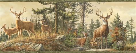 Not my biggest deer, but i have never worked so hard in my life. 50+ Free Whitetail Deer Pictures Wallpaper on ...