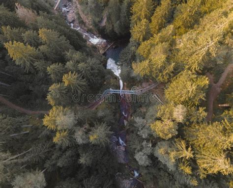 Bridge Over A Waterfall In The Forest In The Mountains Stock Image