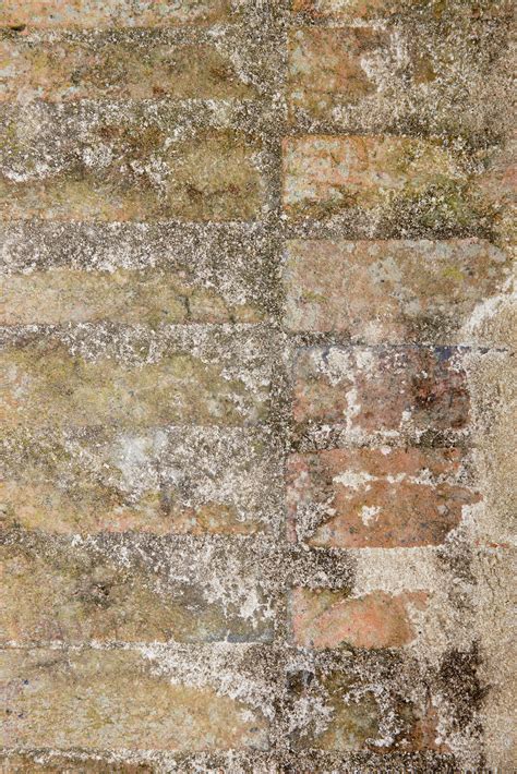Two Cement Brick Wall Closeup Images Free
