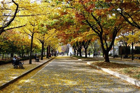 서울 보라매공원 야경 boramae park,seoul,south korea. 湘來和台妹 :: 알록달록 가을옷으로 갈아입은 보라매공원