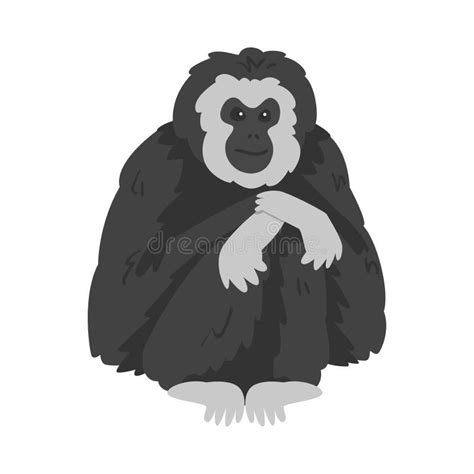 Pileated Gibbon Monkey As Ape With Black Shaggy Fur Vector Illustration