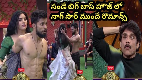 Bigg Boss Telugu Sunday Fun Day Day Bigg Boss Telugu Trolls