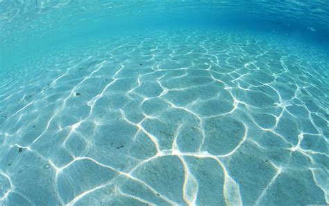 Sand Underwater Wallpaper5257 Florida Keys Dive Center