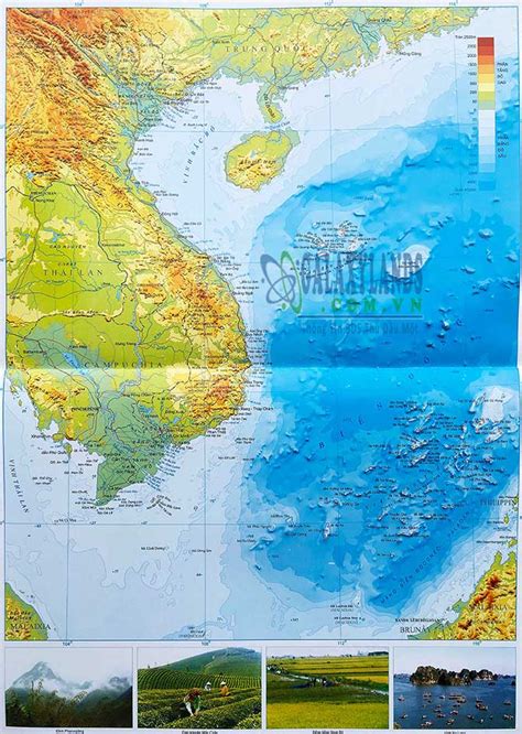 Ban Do Viet Nam Ban Do Cac Tinh Map Viet Nam Online Co Hinh Anh Images