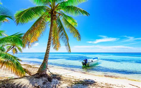 Download Wallpapers Summer Ocean Tropical Islands Beach Palm Trees