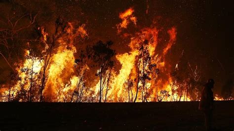 Live Coverage Of The New South Wales Bushfires