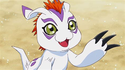 10 Interesting And Fun Facts About Gomamon From Digimon Tons Of Facts