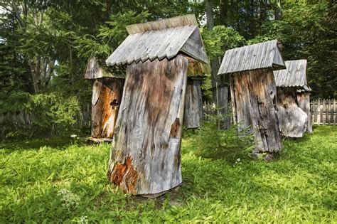 On todays episode we are going to talk about the importance of honey bees and how they can improve our urban landscapes. 29 Beautiful Backyard Bee Hives
