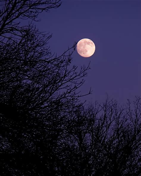Twilight Moon Photograph By Rona Black